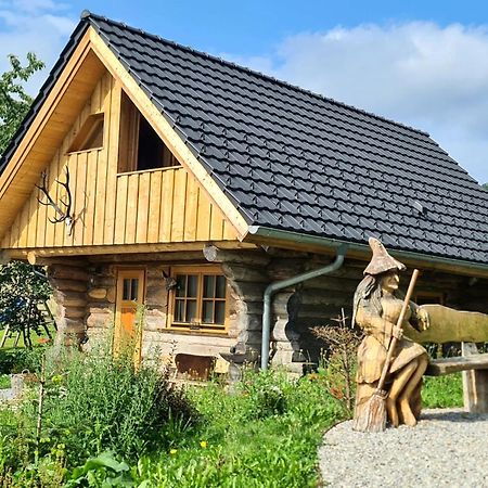 ブラウンラーゲ Blockhaus Panhuetteヴィラ エクステリア 写真